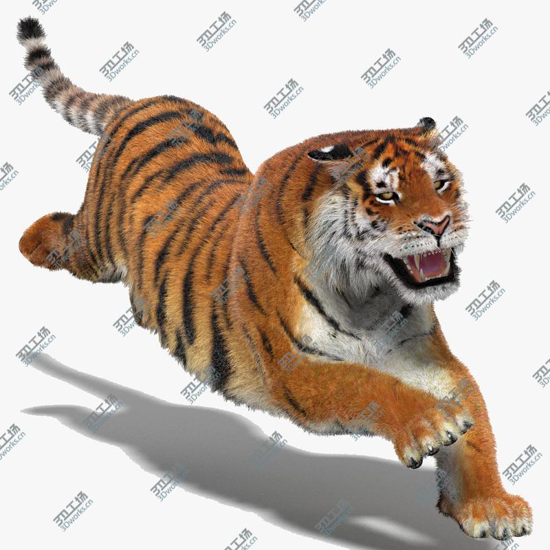 images/goods_img/20210319/Tiger Amur (Animated) (Fur)/1.jpg